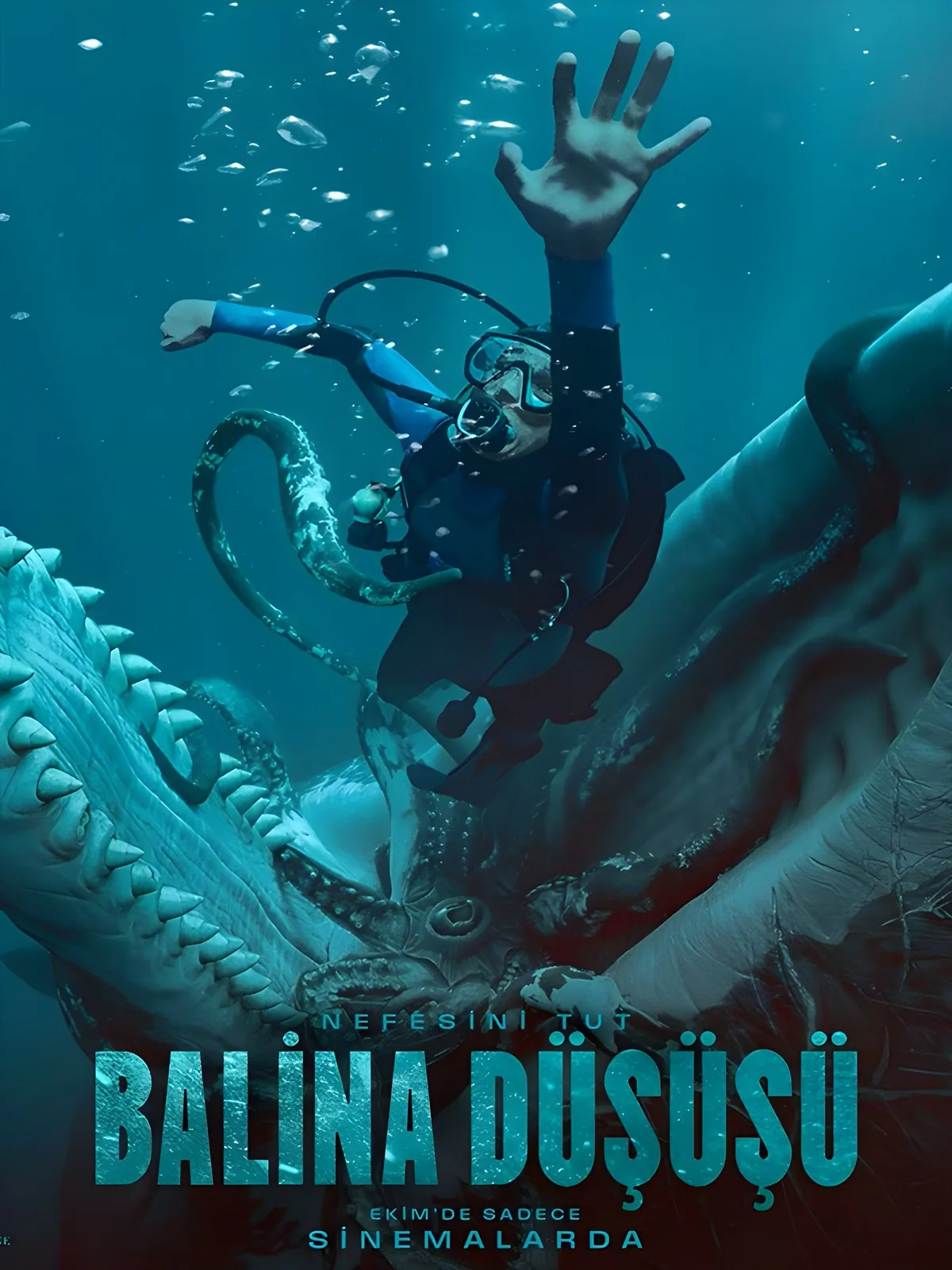 Balina Düşüşü film afişi